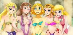 Zelda (Hyrule Warriors) Rule 34 Image