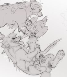Animal Genitalia Rule 34 Image