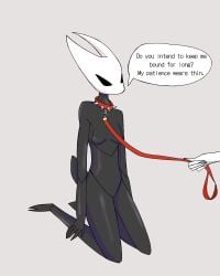 Hollow Knight (Franchise) Rule 34 Image