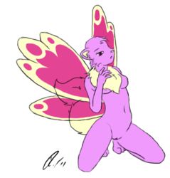 anthro fairy feline female fur furry neopets pussy solo wings wocky