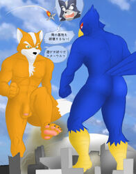 avian balls bird canine crux falco_lombardi fox fox_mccloud japanese_text macro male male_only micro nintendo penis star_fox tail video_games wolf wolf_o'donnell