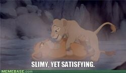 disney feline female female_feral feral fur lion lioness male mammal nala simba straight text the_lion_king