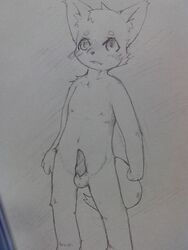 anthro balls black_and_white blush canine fur furry male male_only monochrome okunawa penis sketch