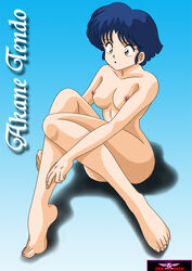 1girls akane_tendo barefoot blue_hair breasts ero_shocker feet female nude ranma_1/2 short_hair small_breasts solo toes