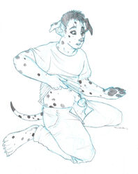 1boy 2011 anthro balls canine dalmatian fur furry male male_only penis sheath solo tail timtam transformation