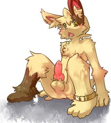 anthro blush ear_piercing erection fur furry jewelry knot kosian lagomorph looking_at_viewer male male_only penis piercing rabbit simple_background sitting solo spread_legs spreading yellow_eyes