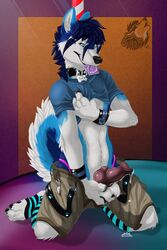 1boy 2011 anatomically_correct anthro balls belt big_balls big_penis blue canine canine_penis clothing codestrike collar color condom cuffs cum curled_tail dripping erection fondling fur furry hair heart hi_res husky knot looking_at_viewer male male_only pants paws penis pole precum shirt socks solo spread_legs spreading strike tail thong undressing