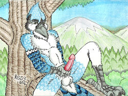 1boy anthro atsumori999 avian barefoot beak blue_jay claws color day furry handjob male male_only masturbation no_humans outdoors penis random sex sitting solo testicles tree