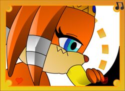 2d animated fellatio female hedgehog loop male mobian mobian_(species) mobian_echidna oral oral_sex penis sega sex shadow_the_hedgehog sonic_(series) sonic_adventure sonic_the_hedgehog_(series) tikal_the_echidna