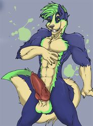 1boy anthro balls blue canine fur furry knot male male_only nevaroblackfang penis randomdragon solo