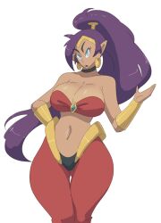 shantae (character) from shantae by leedraw11