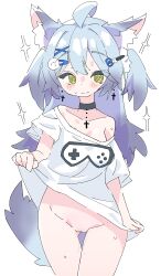 1girls alternate_version_available animal_ears animal_tail blush female female_focus female_only feru grey_hair highres indie_virtual_youtuber light-skinned_female light_skin long_hair shirt shirt_only showing_pussy simple_background small_breasts two_tone_hair virtual_youtuber white_background yellow_eyes yukine_olwin