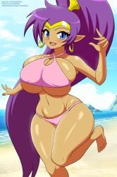 1girls absurd_res absurdres beach big_breasts bikini bikini_bottom bikini_top blue_eyes bottomwear breasts ear_piercing earrings feet female female_only hair high_resolution highres hips huge_breasts large_breasts pointy_ears ponytail purple_bikini purple_hair shantae shantae_(character) smile solo solo_female soulkibble swimwear thighs topwear wide_hips