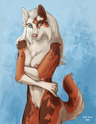 anthro blue_eyes breasts canine female fur furry looking_at_viewer nude pussy red_dog solo standing