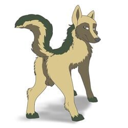 1:1 anus back_view barefoot brown_fur canine closed_mouth color digitigrade feral fur furry_ears furry_tail green_eyes grey_nose looking_at_viewer looking_back male male_only nude open_eyes pointy_ears presenting raised_tail solo tail tan_fur testicles white_background wolf zoophilic