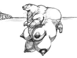 bear breasts feral mark_stretch multi_breast obese overweight polar_bear stellos swimming tagme