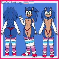 Sonic (Series) Rule 34 Image