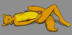 ajna anthro canine carrot carrotwolf fur furry gay lying male penis