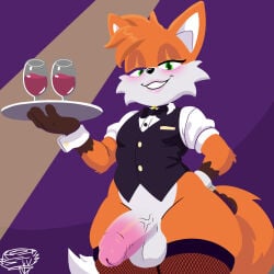 Sonic (Series) Rule 34 Image