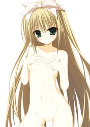 1girls blonde_hair blush body_writing breasts covering covering_breasts female green_eyes hair_ornament hair_ribbon hands_on_own_chest highres long_hair navel nipples nude nude_cover pussy ribbon seitokai_no_ichizon shiina_mafuyu shitsuki_nagi solo translation_request very_long_hair