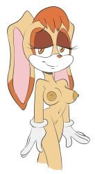 Sonic (Series) Rule 34 Image