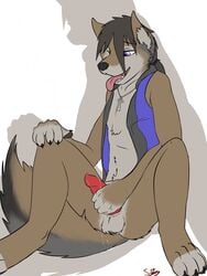 1boy anthro balls canine clothed clothes erection fur furry iridon jackal male male_only masturbation penis precum solo swizzlestix tongue vest