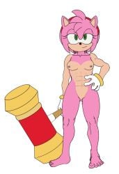 abs amy_rose breasts featureless_crotch furry hammer nude nude_female sega shadex007 sonic_(series)