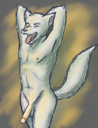 1boy anthro ataraxia balls canine closed_eyes fur furry male male_only nude penis solo stretching wolf yawning