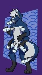 3_penises 4_arms animal_genitalia animal_penis anthro black_body black_fur blue_background blue_body blue_fur blue_penis canid canine canis dicknipples equine_genitalia equine_penis fur genitals grey_body grey_fur grey_penis hi_res male mammal midnite_fsnax multi_arm multi_genitalia multi_limb multi_penis nude_anthro nude_male open_mouth penis penis_tongue purple_background simple_background solo standing tail tail_mouth unusual_anatomy unusual_genitalia_placement unusual_penis_placement unusual_tail wolf