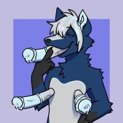 animal_genitalia animal_penis anthro blue_background blue_body blue_eyes blue_fur blue_penis bodily_fluids canid canine canis dripping equine_genitalia equine_penis fur genital_fluids genitals grey_body grey_fur grey_hair grey_penis hair male mammal medial_ring midnite_fsnax multi_genitalia multi_penis nude_anthro nude_male penis penis_nipples penis_tongue precum precum_drip purple_background simple_background solo standing triphallia unusual_anatomy unusual_genitalia_placement unusual_penis_placement wolf