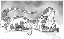 anthro big_penis breasts female human male monochrome penis reptile scalie size_difference snake syrinoth