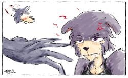 angry anthro beastars bodily_fluids canid canine canis cum cum_in_mouth cum_inside cum_on_face duo female genital_fluids hi_res juno_(beastars) legoshi_(beastars) male male/female mammal mr.foxman wolf