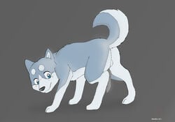 1boy akita canine feral ginga_densetsu_weed male male_only metalfox solo