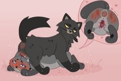 amber_eyes black_body black_fur blue_eyes cinderpelt_(warriors) deadingdog feral gray_body gray_fur grey_body grey_fur warriors_(book_series) warriors_(cats) yellowfang_(warriors) yuri