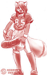 2011 anthro balls bottomless canine cox football fox fur furry gideon girly male male_only penis solo solo_male