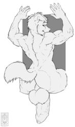 1boy 2011 anthro ass athletic balls big_balls big_butt big_penis black_and_white black_penis canine erection fur furry hyper lines looking_at_viewer male male_only monochrome muscles nude penis precum sitting solo tail tyelle_niko uncut veins wide_hips