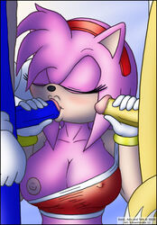 2011 amy_rose animal_ears anthro big_breasts breasts canine closed_eyes fellatio female fox fur furry hairband handjob hedgehog knownvortex male nipples oral oral_sex penis pink_hair sega sex sonic_(series) sonic_the_hedgehog straight tails