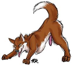 canine canine feral k9 penis sketchkat