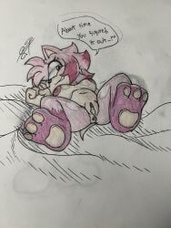 amy_rose post_sex sonic_(series) tastefulanatomy traditional_art