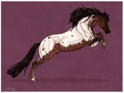 black_mane black_tail brown_body brown_eyes equid equine feral glistening glistening_eyes horse male mammal mane mouth_closed purple_background scarlanya side_view simple_background solo tail white_body