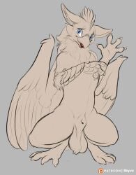 animal_genitalia avian balls beak exposed_belly feathered_wings feathers feral genitals greeting gryphon happy hi l_res looking_at_viewer male mythological_avian mythological_creature mythology paws raised_hand sheath shy sketch skyvo smile solo standing_position wings