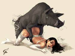 boar female feral human interspecies male pig porcine sex straight suid suina sus_(pig) swine zoophilia