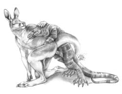 anal anal_sex animal_genitalia animal_penis anthro anthro_on_feral anthro_penetrated biped blotch claws duo erection feral feral_penetrating feral_penetrating_anthro forked_tongue fur genitals kangaroo lizard macropod male male/male male_penetrated male_penetrating male_penetrating_male mammal marsupial monitor_lizard monochrome paws penetration penile penile_penetration penis penis_in_ass reptile scalie sex tail tongue tongue_out zoophilia