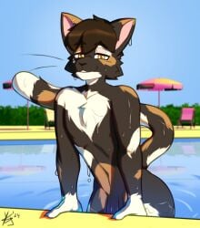 absurd_res anthro calico_cat domestic_cat felid feline felis flaccid genitals hair hi_res looking_at_viewer male mammal nude outside penis pool smile solo swimming_pool tail water wet yukein