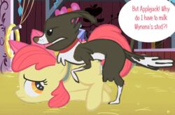 1boy 1girls apple_bloom_(mlp) cub dog friendship_is_magic furry horse my_little_pony spelling_error stable winona_(mlp) young zoophilia