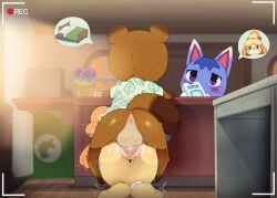 1boy 2girls animal_crossing animal_ears anus ass body_fur brown_fur dagasi from_behind furry furry_female furry_male furry_with_furry highres indoors isabelle_(animal_crossing) looking_at_another motion_lines multiple_girls open_mouth panties panties_around_one_leg penis pussy recording rosie_(animal_crossing) sex sex_from_behind stealth_sex straight tom_nook uncensored underwear vaginal_penetration white_panties yellow_fur
