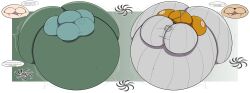 Ass Rule 34 Image