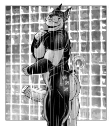 absurd_res after_anal after_sex anthro ass balls bathing big_balls big_penis black_and_white black_body black_fur black_nose bodily_fluids canid canine canis cum cum_in_ass cum_inside dobermann domestic_dog ear_piercing ear_ring erection fur genital_fluids genitals hi_res huge_balls looking_at_viewer male male/male mammal maychin monochrome multicolored_body multicolored_fur muscular muscular_anthro muscular_male nude nude_anthro nude_male pecs penis piercing pinscher pointy_ears ring_piercing short_tail shower showering smug solo tail tally_marks thick_penis two_tone_body two_tone_fur