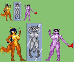 anthro barefoot black_hair black_nose blue_hair bound breasts brown_fur canine carmelita_fox casetermk color female female_only fox fur furry furry_breasts furry_ears furry_tail green_background grey_fur grey_hair grey_nipples hair hand_on_hip holding long_hair mammal multiple_females neyla nipples nude pointy_ears purple_fur purple_nipples raised_tail rule_63 sly_cooper sly_cooper_(series) smooth_fur standing switch syringe tail tan_fur vulva