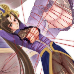 bound dynasty_warriors female female_only human solo tagme zhen_ji